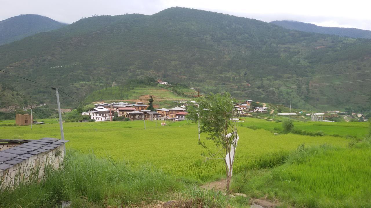 Chimi Lhakhang Village Homestay Punakha Kültér fotó