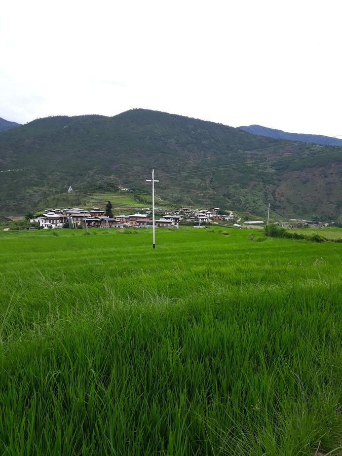 Chimi Lhakhang Village Homestay Punakha Kültér fotó